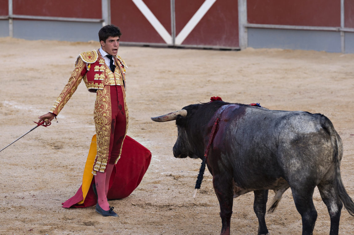 Bullfighting; art or torture?Bullfighting Controversy in Mexico City Sparks Memories of a Stirring, Yet Disturbing SpectacleBullfighting; art or torture?